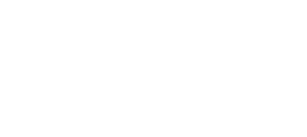 leadinfo-partner-badge